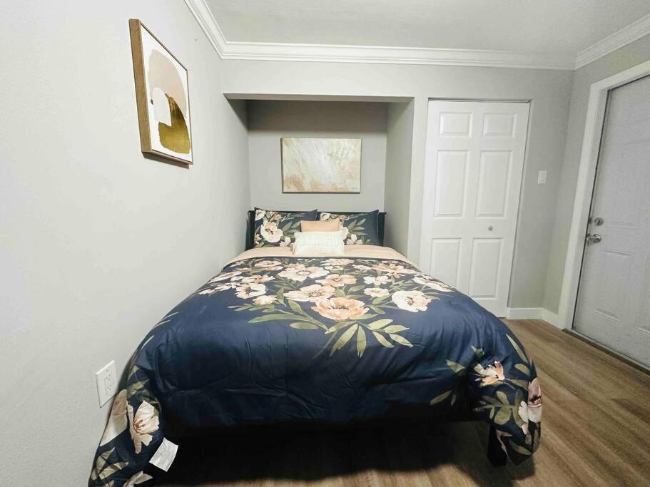 Coral Gables Near Airport And Beaches Appartamento *